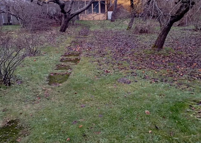 Nelgi The Place Appartamento *